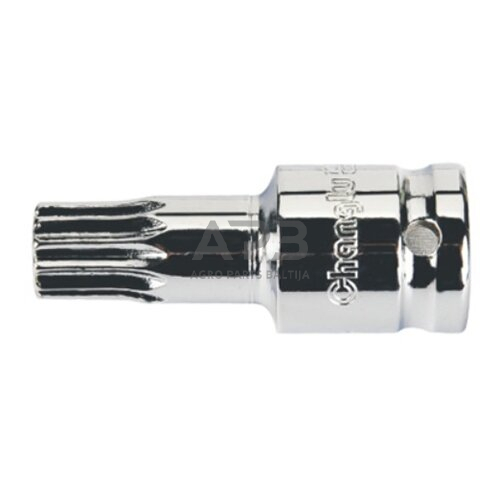 Galvutė tepalui išleisti M16 Audi Galvutė tepalui išleisti M16 Audi