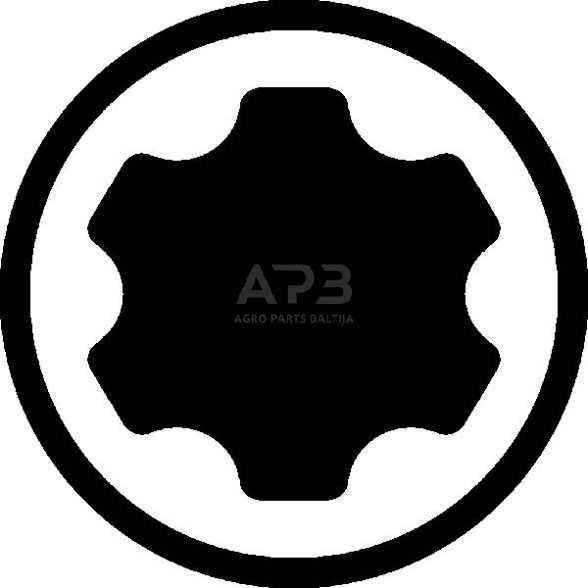 Galvučių su antgaliais rinkinys 3/8" (TORX Plus) 9vnt. 1