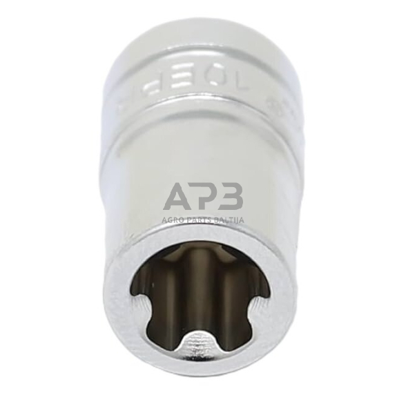 Galvutė  1/4" 10EPR (torx plus), TESLA 1