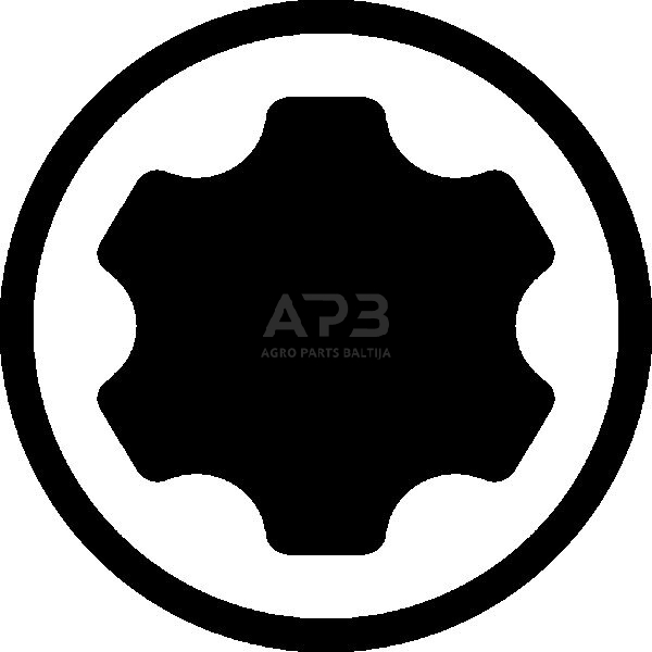 Galvučių su antgaliais rinkinys 3/8" (TORX Plus) 9vnt. 1