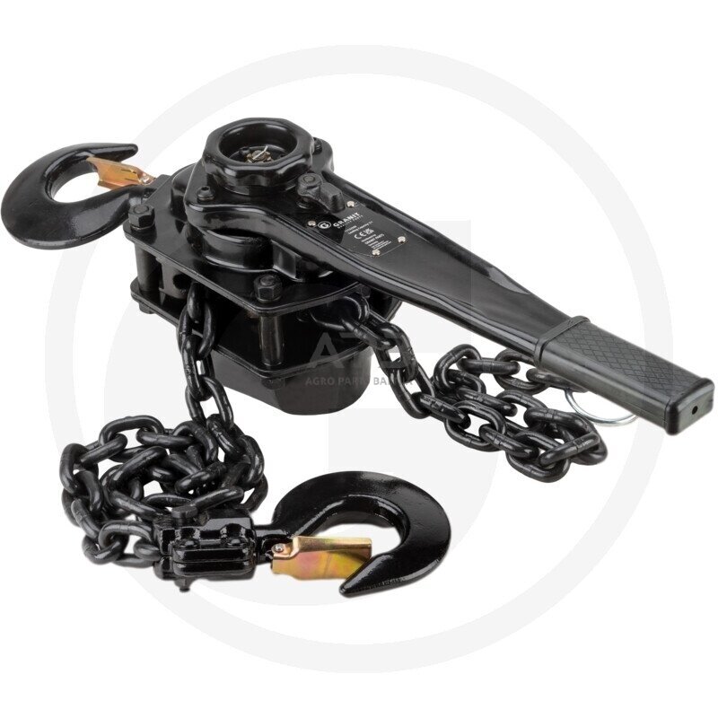 Grandininė gervė 11132590 Grandininė gervė 11132590