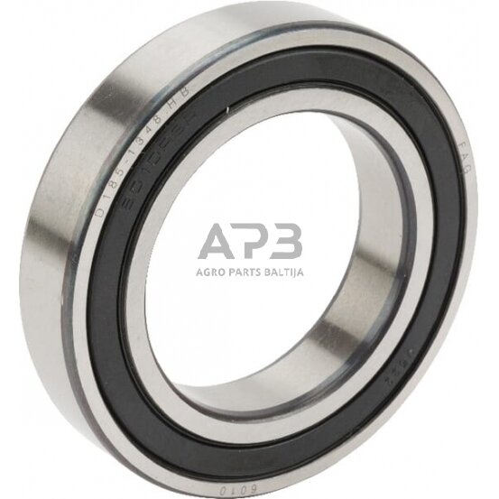 Guolis INA/FAG 6010RSR Guolis INA/FAG 6010RSR