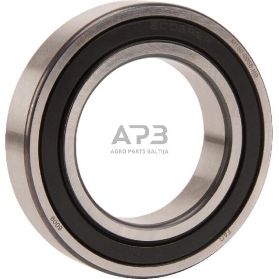 Guolis INA/FAG 6009RSR Guolis INA/FAG 6009RSR