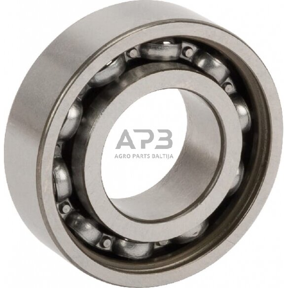 Guolis INA/FAG 6003RSR 1 Guolis INA/FAG 6003RSR 1