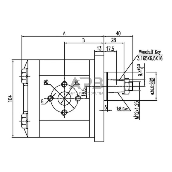 Hidraulinis siurblys gopart GP208D3030C18EGP 1