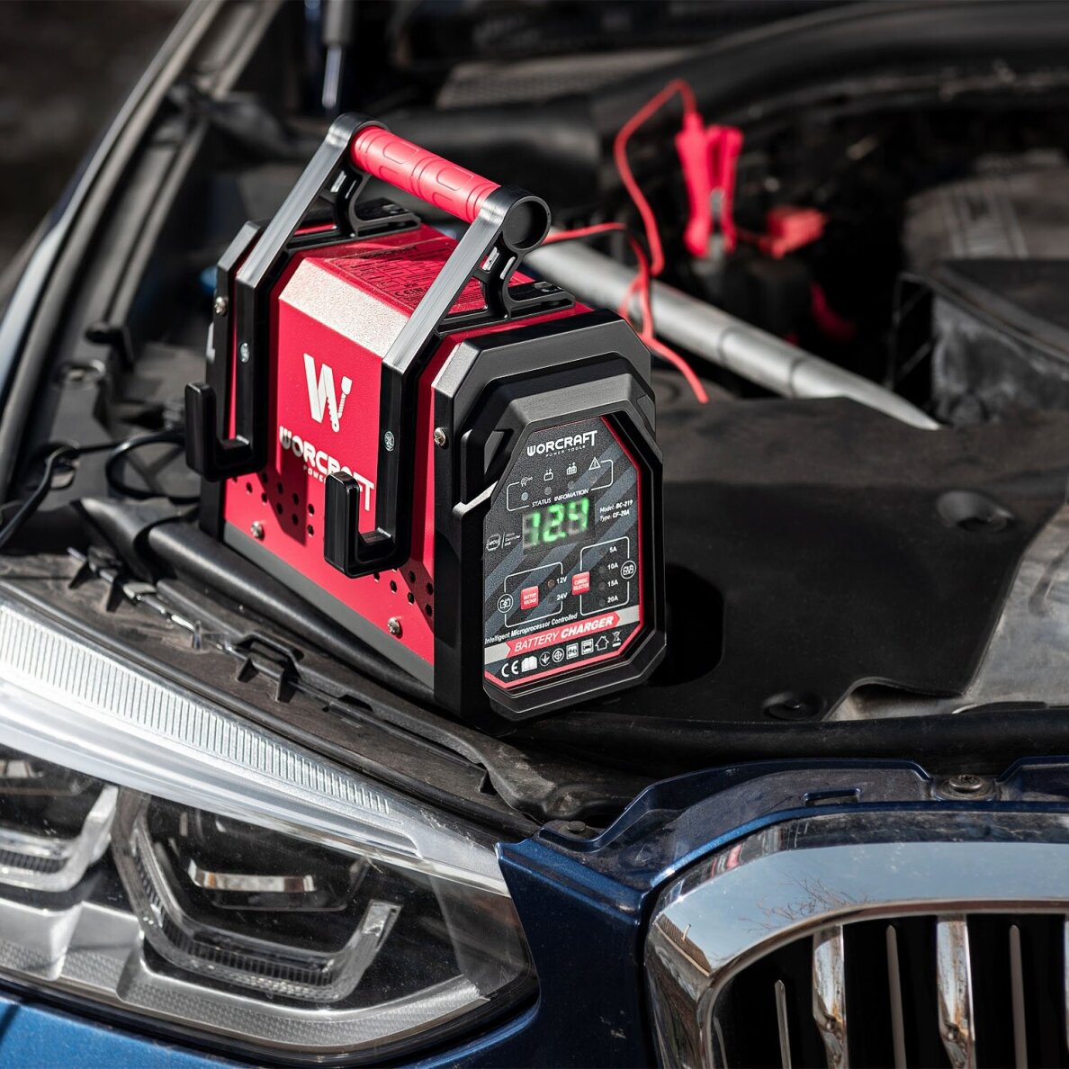 Įkroviklis akumuliatoriui 12/24V 20A 10-300Ah 10