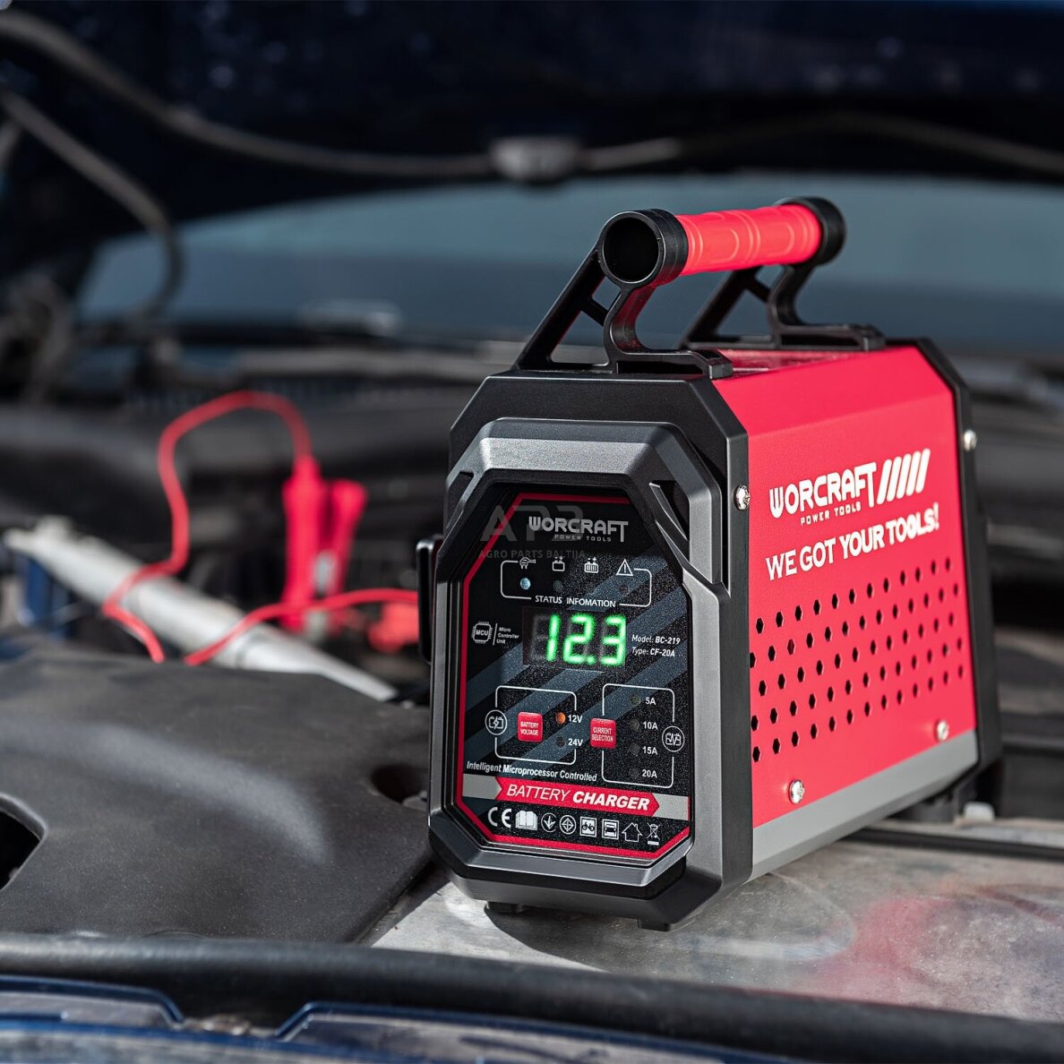 Įkroviklis akumuliatoriui 12/24V 20A 10-300Ah 6