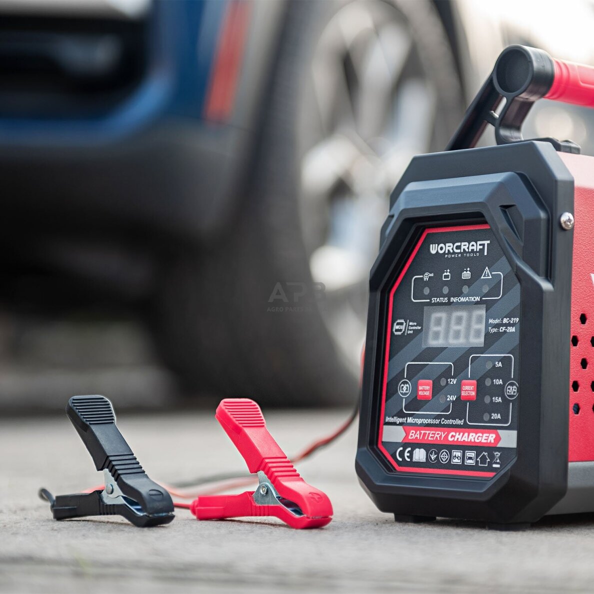 Įkroviklis akumuliatoriui 12/24V 20A 10-300Ah 9