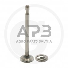 Išmetimo vožtuvas Briggs & Stratton 296676, 260443, 260442, 262580, 262581, 260075, 494188, 494187