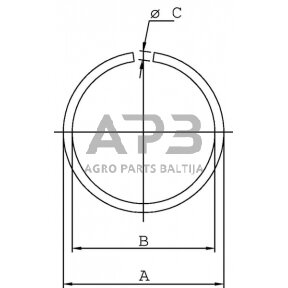 Išorinis fiksavimo žiedas 24x2mm 7993RW24