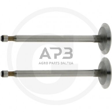 Įsiurbimo vožtuvas Briggs & Stratton 261044S, 261044, 555062
