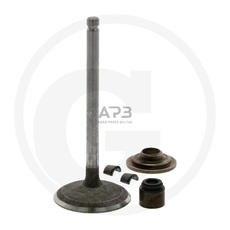 Įsiurbimo vožtuvas Briggs & Stratton 791935, 695761, 495857