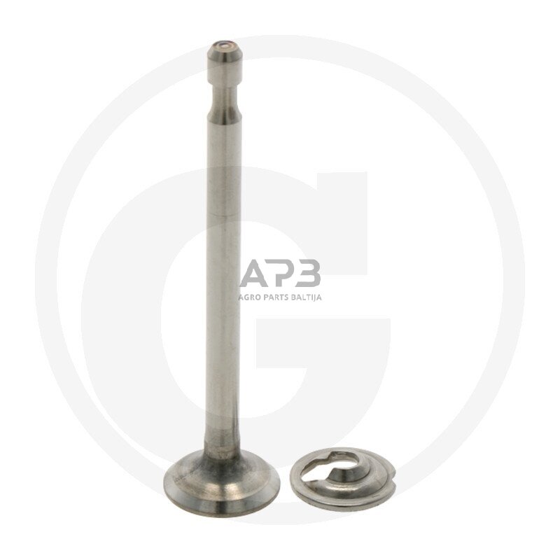 Išmetimo vožtuvas Briggs & Stratton 296676, 260443, 260442, 262580, 262581, 260075, 494188, 494187