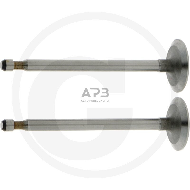 Įsiurbimo vožtuvas Briggs & Stratton 261044S, 261044, 555062