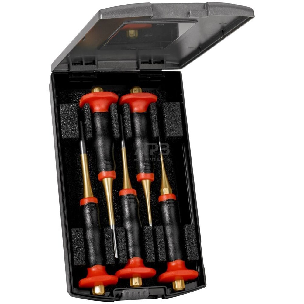 Kaiščių išmušėjų rinkinys 5vnt. su rankos apsauga RENNSTEIG