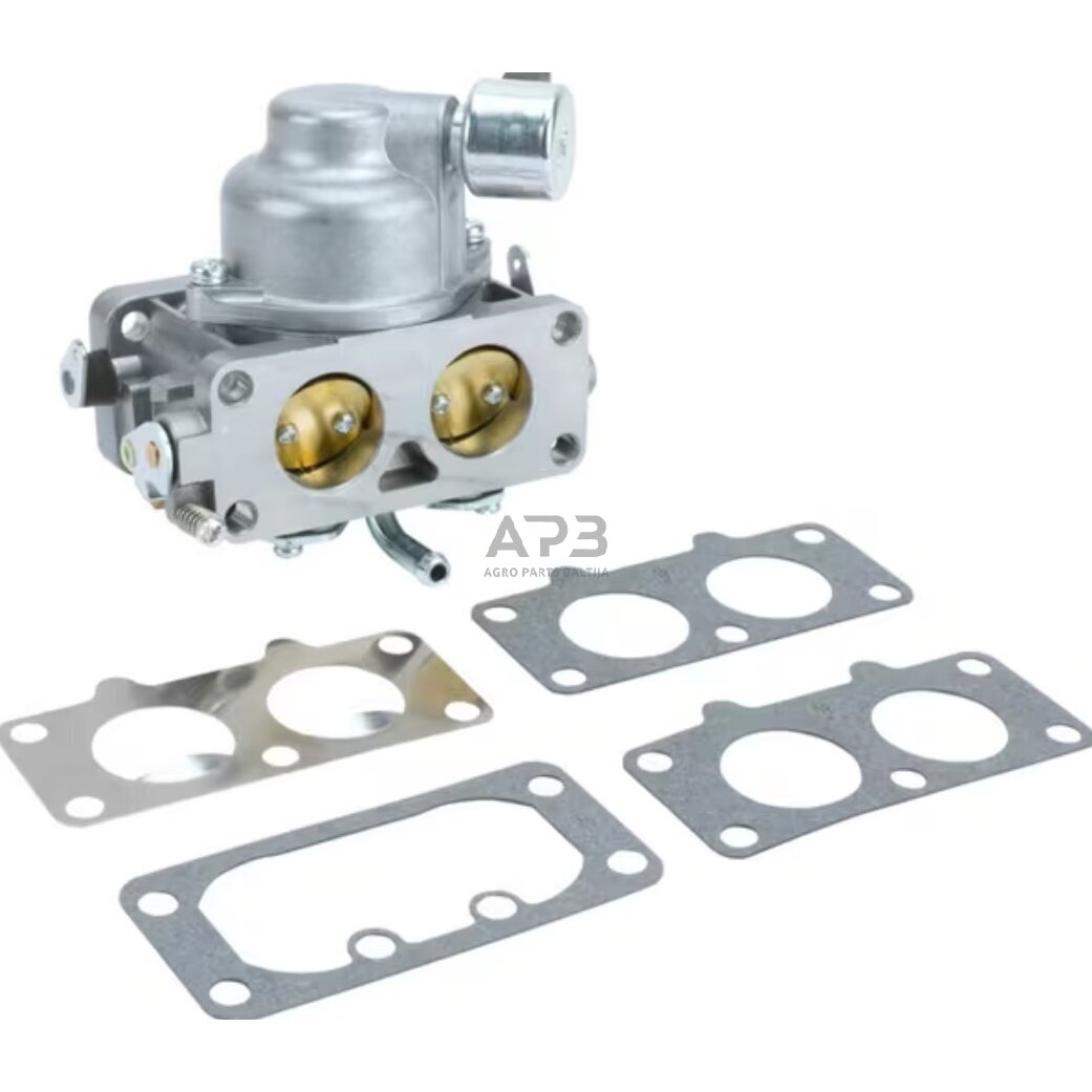 Karbiuratorius Briggs & Stratton 595613