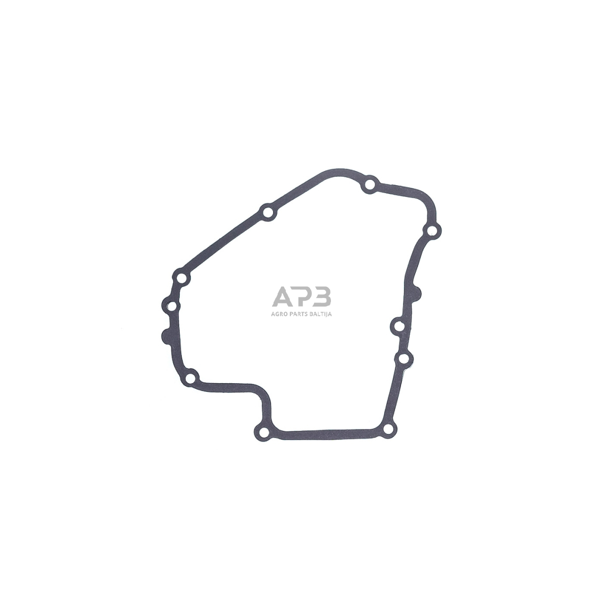 Karterio tarpinė Brigss & Stratton 793445 1 Karterio tarpinė Brigss & Stratton 793445 1