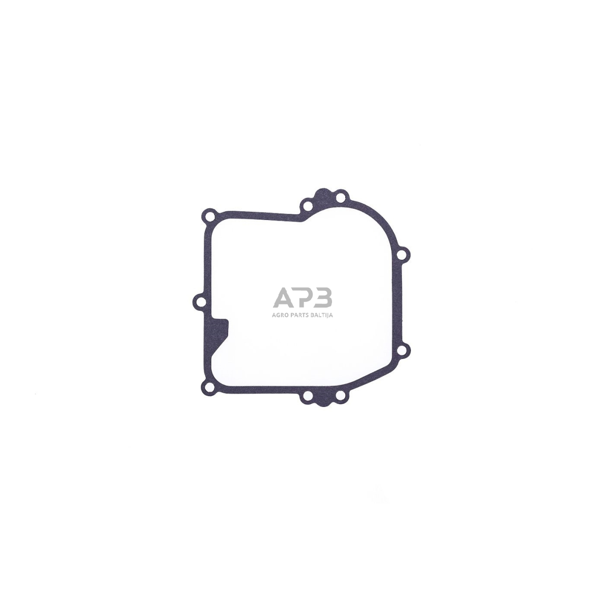 Karterio tarpinė Brigss & Stratton serija 450, 500, 550 OHV, 799587 1 Karterio tarpinė Brigss & Stratton serija 450, 500, 550 OHV, 799587 1