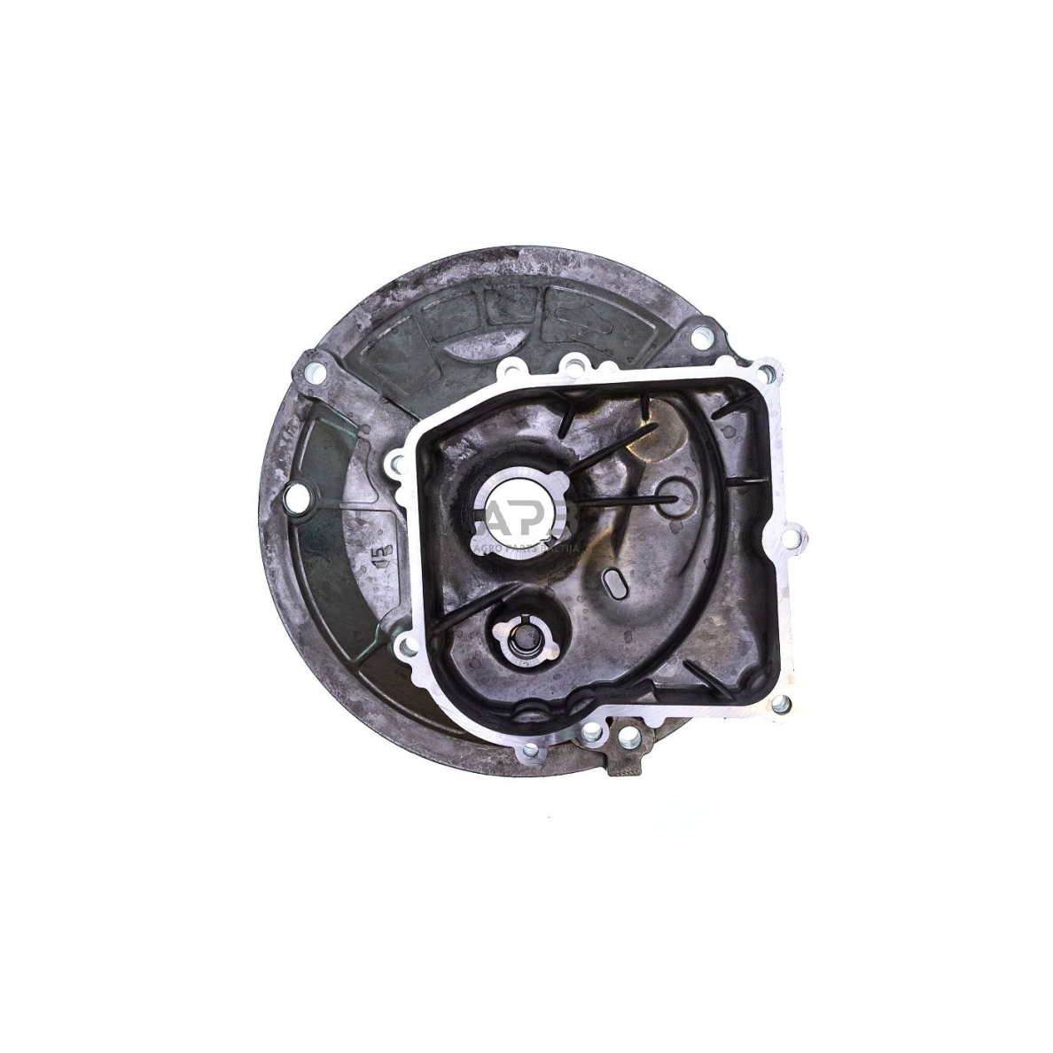 Karteris Briggs & Stratton OHV 594101 5