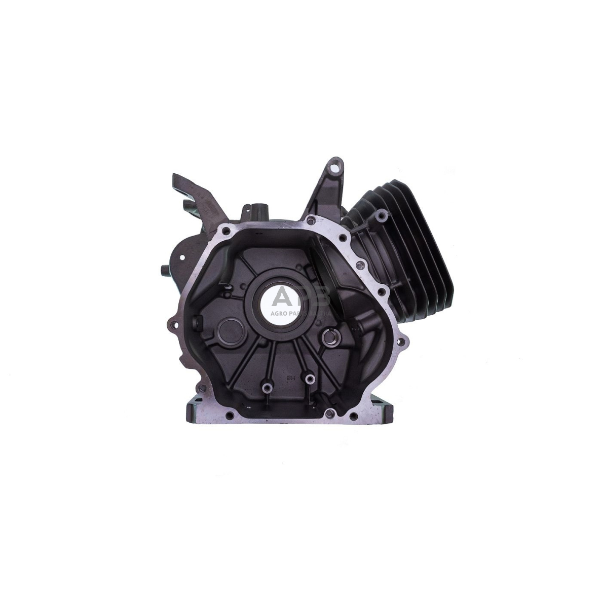 Karteris HONDA GX390, 12000-ZF6-417, 12000ZF6417, 12000-ZF6-405, 12000ZF6405, 12000-ZF6-416, 12000ZF6416, 100002723 4