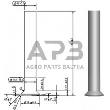 Kaištis 507003KR