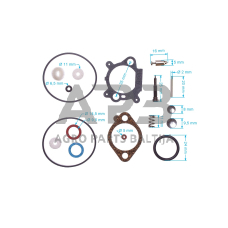 Karbiuratoriaus remontinis komplektas BRIGGS & STRATTON 493762, 498260