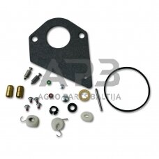 Karbiuratoriaus remontinis komplektas BRIGGS & STRATTON 494880, 497535, 499220