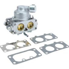 Karbiuratorius Briggs & Stratton 595613