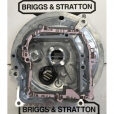 Karteris Briggs & Stratton OHV 594101