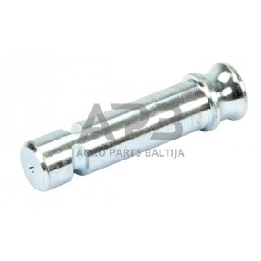 Kaištis 25,00 mm Scharmüller 104031452