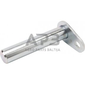 Kaištis 25,00 mm x 125,00 mm FLP25125