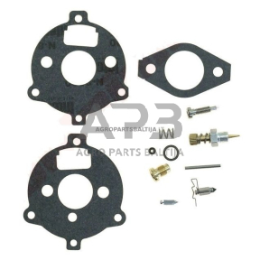 Karbiuratoriaus remontinis komplektas BRIGGS & STRATTON 394693, 291763, 295938, 398235