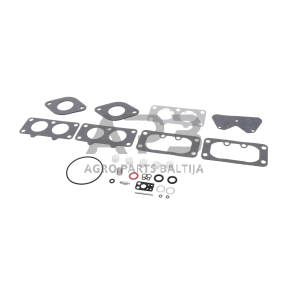 Karbiuratoriaus remontinis komplektas BRIGGS & STRATTON 40H700, 446700