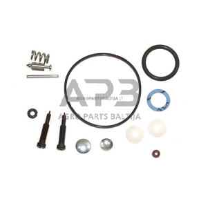 Karbiuratoriaus remontinis komplektas BRIGGS & STRATTON 492077, 494349