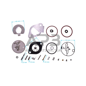 Karbiuratoriaus remontinis komplektas BRIGGS & STRATTON 796184