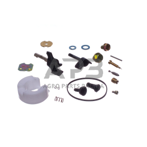 Karbiuratoriaus remontinis komplektas Honda GX160