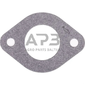 Karbiuratoriaus tarpinė Briggs & Stratton 594204