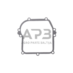 Karterio tarpinė Brigss & Stratton serija 450, 500, 550 OHV, 799587