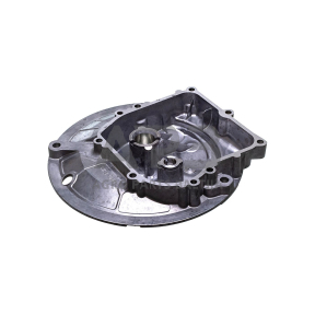 Karteris Briggs & Stratton 450E, 500 590569