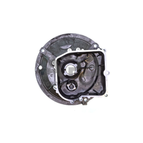 Karteris Briggs & Stratton OHV 594101