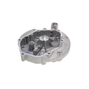 Karteris Zongshen XP200, 100002964, 100002973