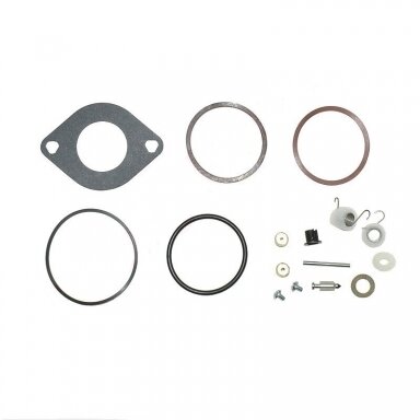 Karbiuratoriaus remontinis komplektas BRIGGS & STRATTON 697154, 697241