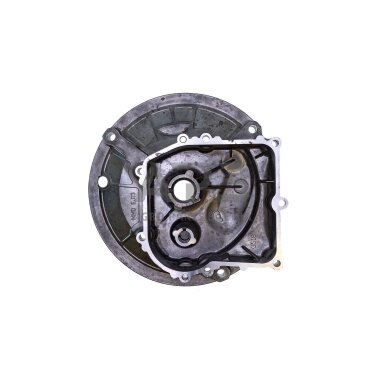 Karteris Briggs & Stratton 450E, 500 590569