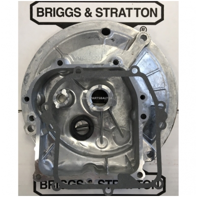 Karteris Briggs & Stratton 450E, 500 590569