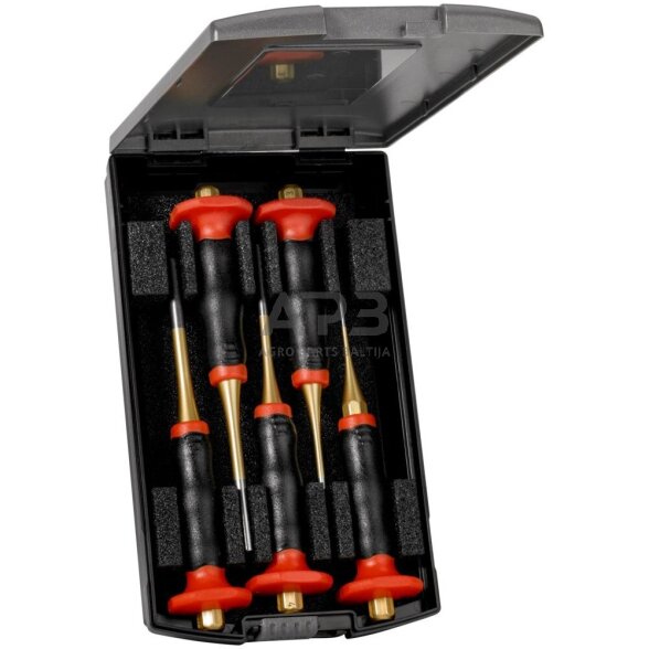 Kaiščių išmušėjų rinkinys 5vnt. su rankos apsauga RENNSTEIG Kaiščių išmušėjų rinkinys 5vnt. su rankos apsauga RENNSTEIG