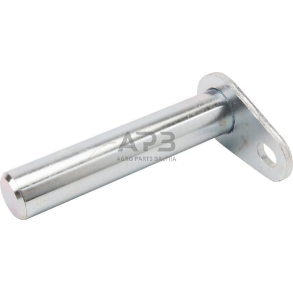 Kaištis 25,00 mm x 125,00 mm FLP25125 Kaištis 25,00 mm x 125,00 mm FLP25125