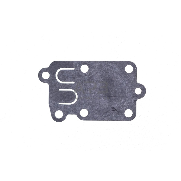Karbiuratoriaus membrana BRIGGS & STRATTON 8, 9, 13 horizontaliems varikliams, 5AG 272538, 49001 1