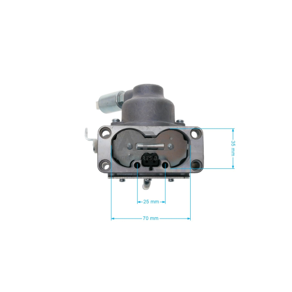 Karbiuratorius Briggs & Stratton 499804, 699709, 791230 2