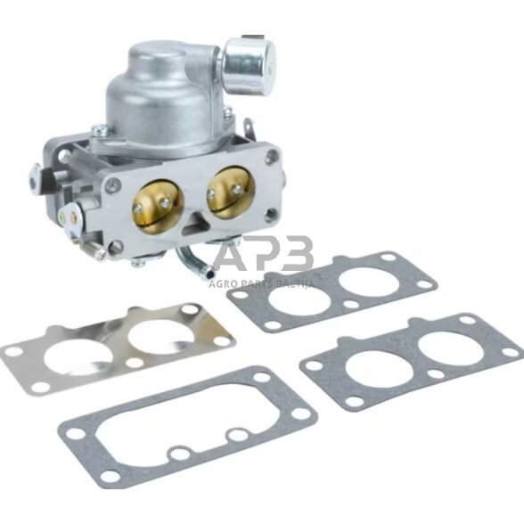 Karbiuratorius Briggs & Stratton 595613
