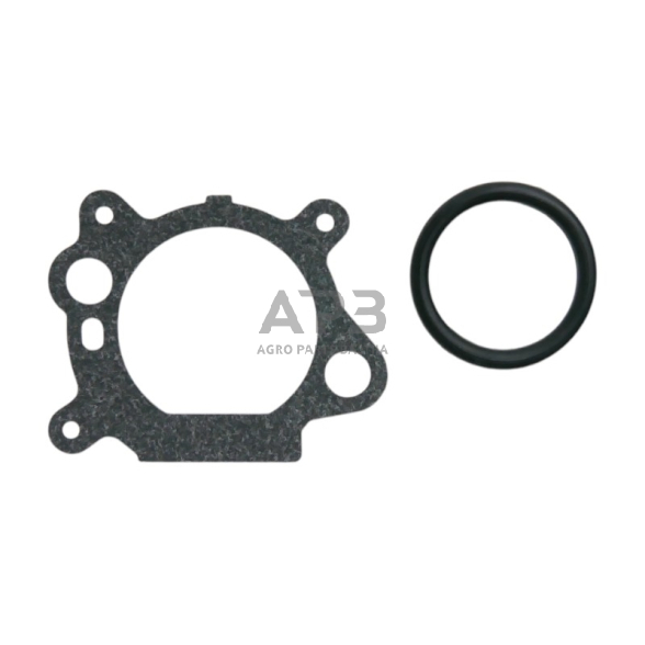 Karbiuratorius Briggs & Stratton Quantum Serija 600, 625, 650, 675 nuo 4AG iki 7AG. 499059, 497586, 799868, 498170, 497314, 498966, 497347, 49-817-0, 798170, 498254, BS-799868, 698444, 799872. 7